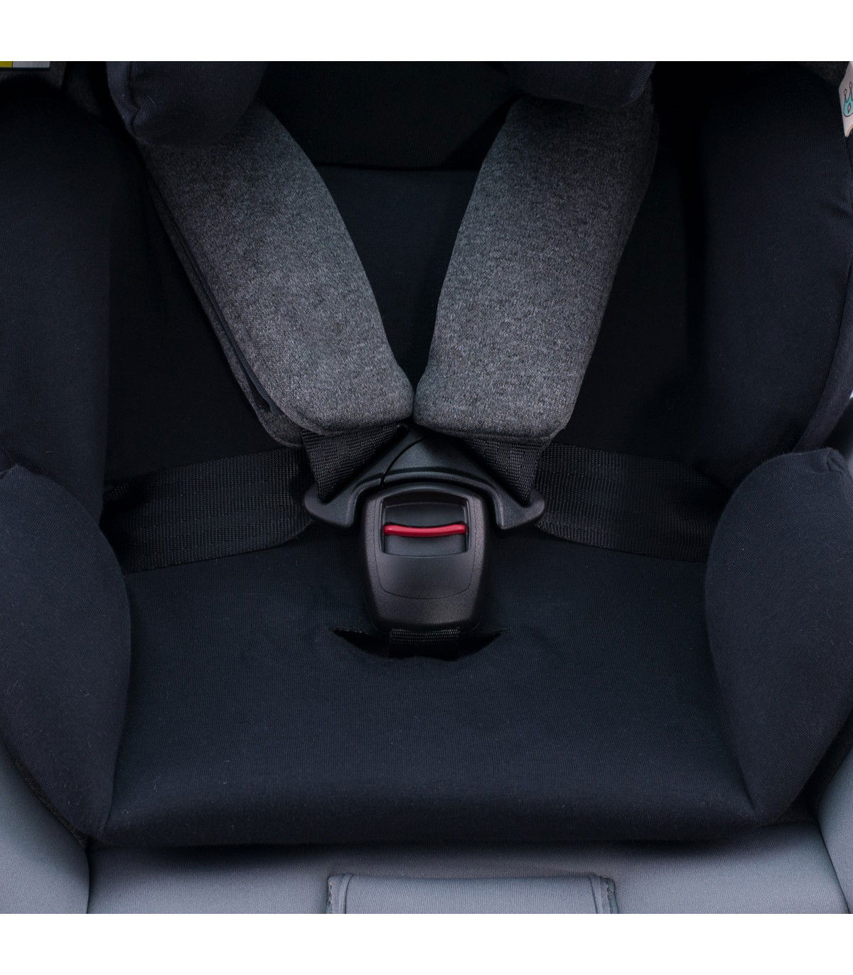 Be Cool Jupiter - Correas de seguridad Black Series