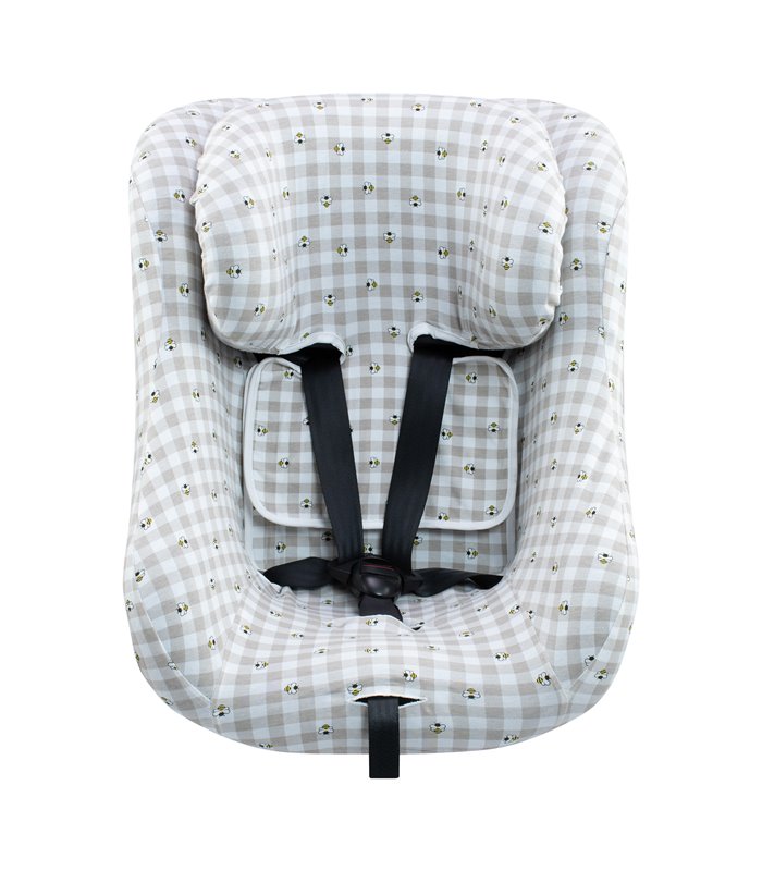 Joie Spin 360 and Nuna Rebl - Front view Picnic Vichy