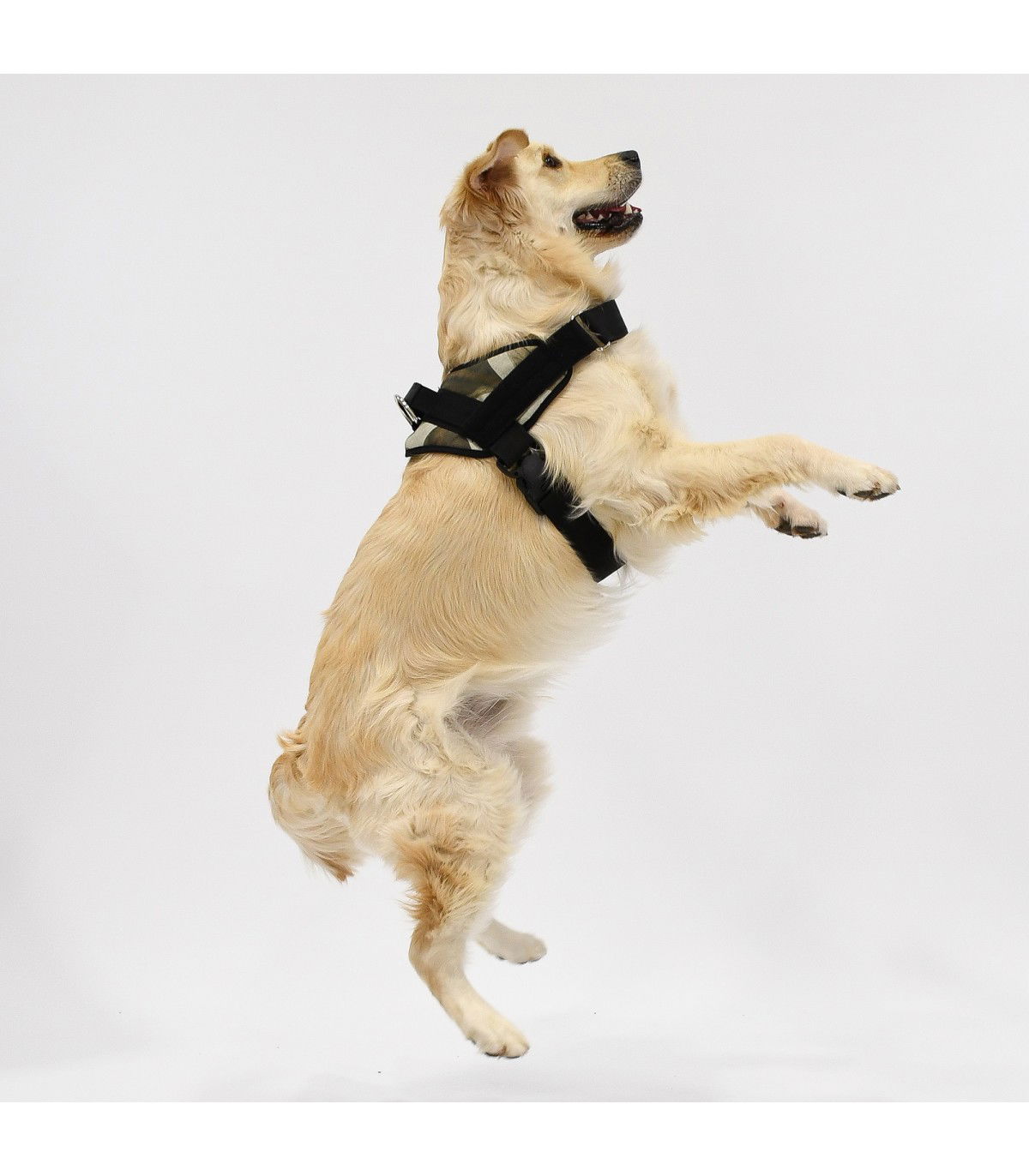 Pettorina Anatomica e Regolabile Village per Cani - 4