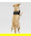 Anatomisches und Verstellbares Hundegeschirr Brooklyn - 4