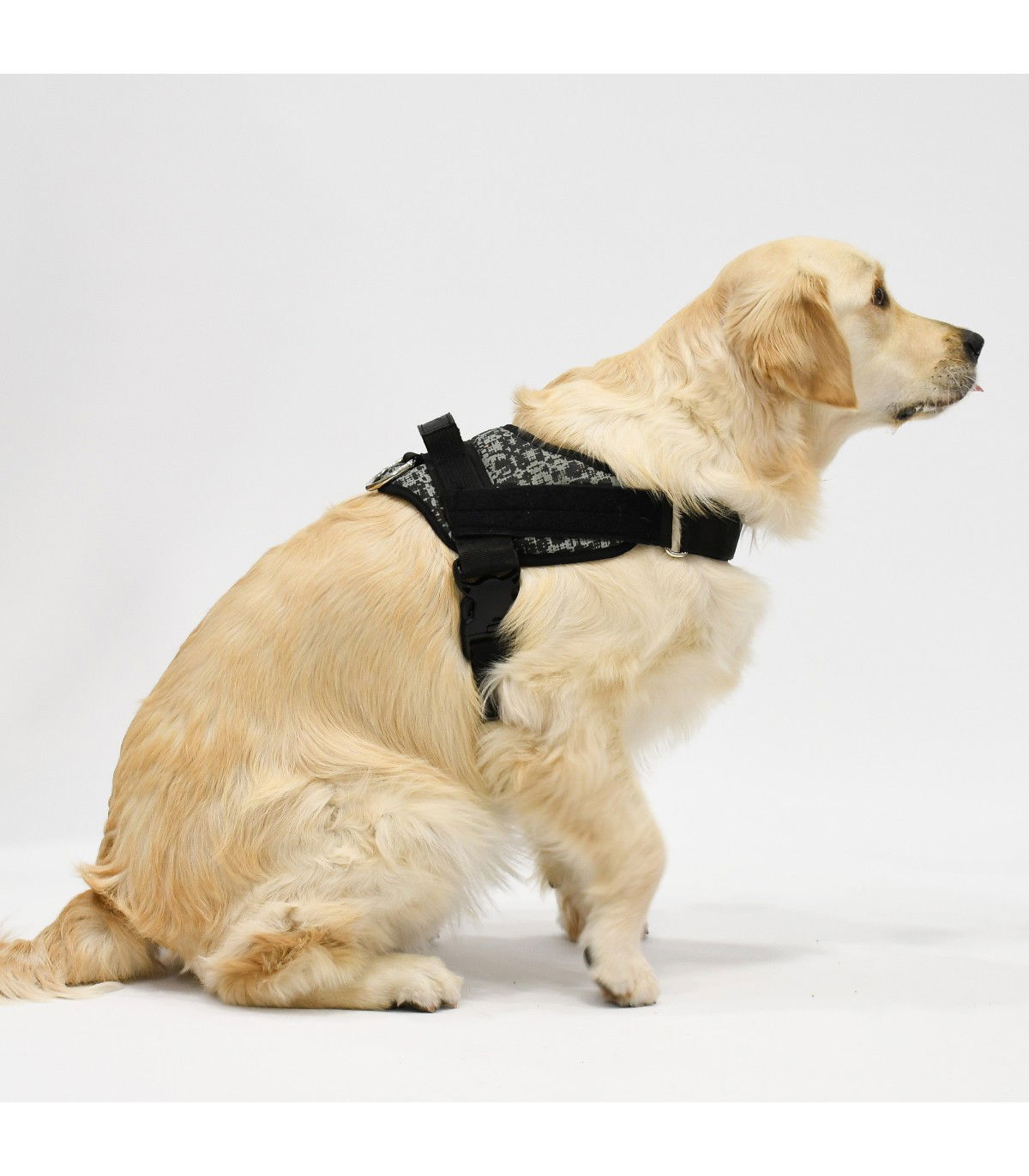 Anatomisches und Verstellbares Hundegeschirr Brooklyn - 5