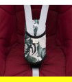 Detalhe frontal de zebra